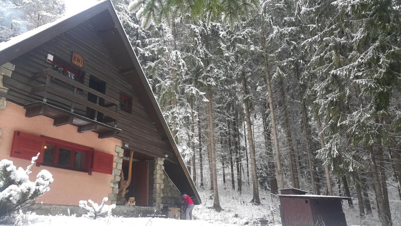 Chata Kiki Malino Brdo Rużomberk Zewnętrze zdjęcie