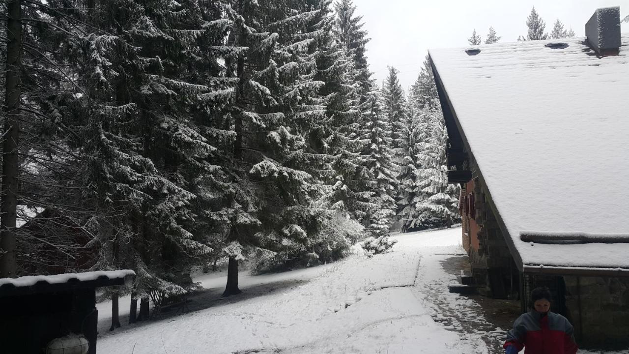 Chata Kiki Malino Brdo Rużomberk Zewnętrze zdjęcie